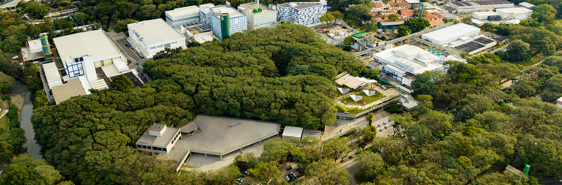 Banner Institucional